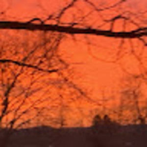 Meet your Posher, Isabella